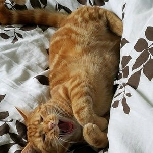 Meet your Posher, Debbie